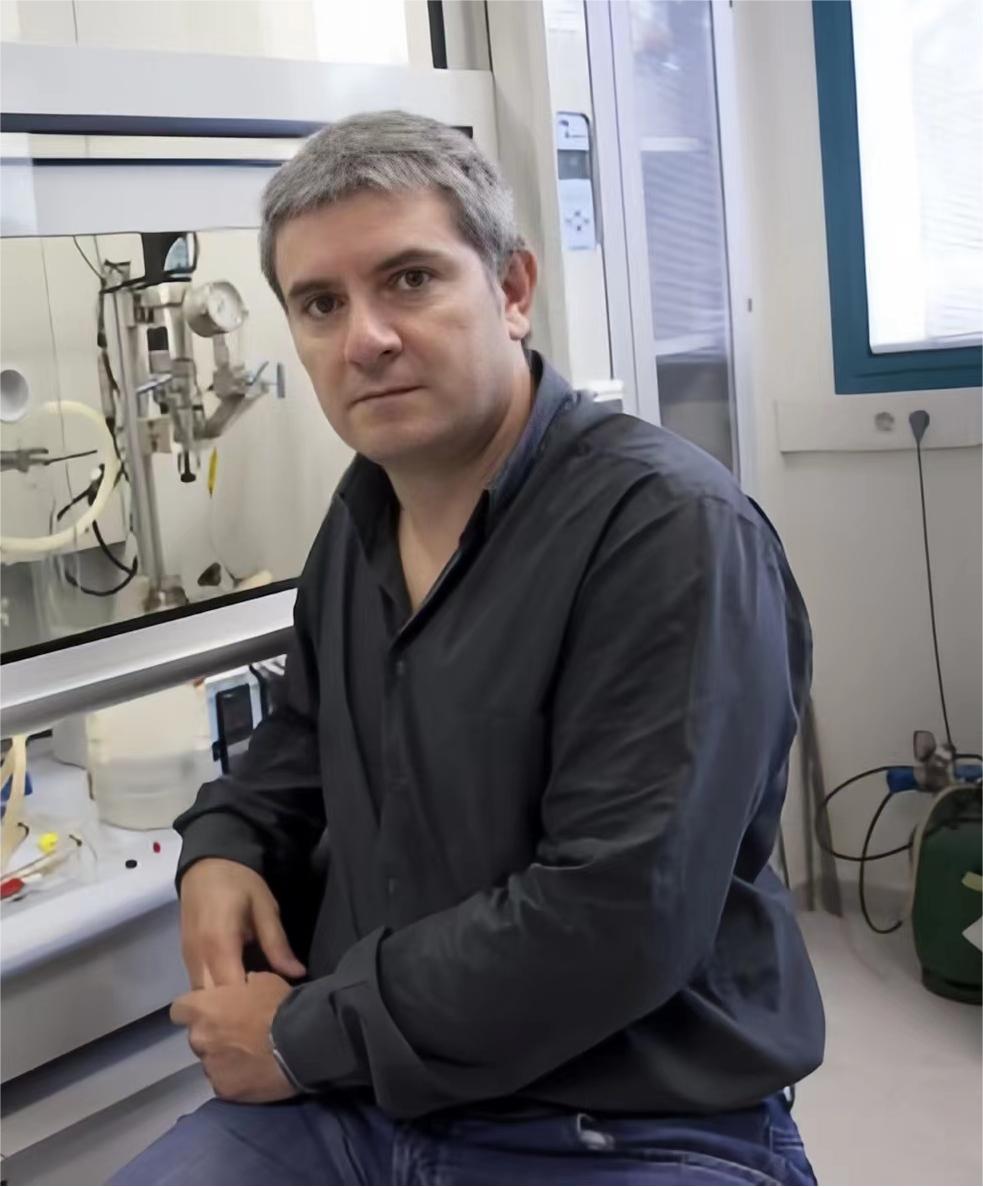 乐鱼网页版页面登录创新论坛第一千五百一十九讲：  Smart N-Heterocyclic Carbene Ligands in  Catalysis