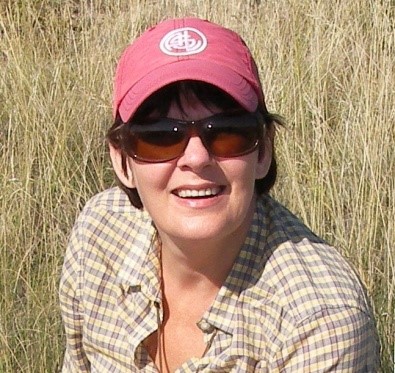 乐鱼网页版页面登录创新论坛第一千五百四十四讲：Intra-plate oceanic island basalts:  retrospective and perspectives 