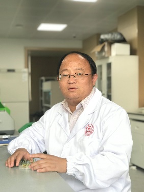 乐鱼网页版页面登录创新论坛第一千二百四十四讲暨120周年校庆年系列活动：碳（13C,14C）同位素标记技术在稻田土壤碳循环研究中的应用案例