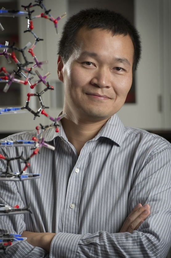 乐鱼网页版页面登录创新论坛第一千九百七十八讲：核酸适配体筛选：从小分子到微塑料