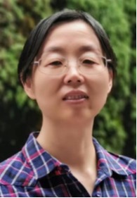 乐鱼网页版页面登录创新论坛第二千零八十四讲：相变材料与换能