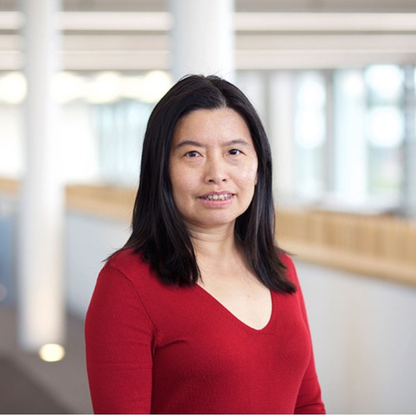 乐鱼网页版页面登录创新论坛第一千九百七十七讲：Silk roads and global connections through the study of heritage materials