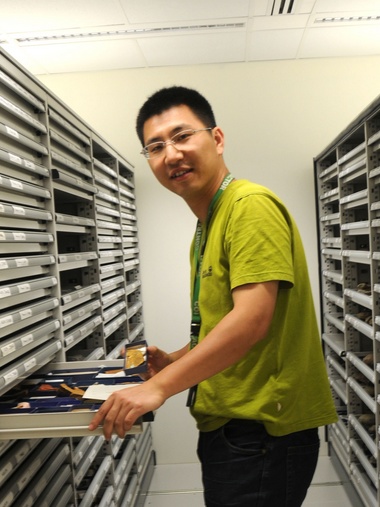 乐鱼网页版页面登录创新论坛第一千八百零一讲：虫鸣凤舞伴花香：现代陆地生态系统的起源