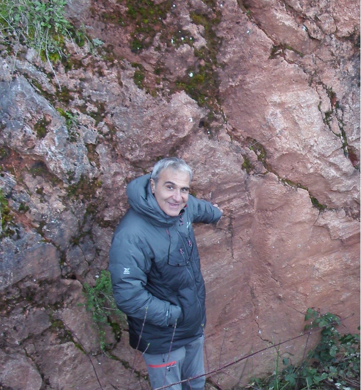 乐鱼网页版页面登录创新论坛第一千九百八十九讲：Isotopic Dating and Geochemical Tracing of Fault Rocks: Insights into Plate Evolution and Seismicity