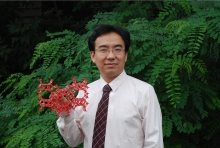 乐鱼网页版页面登录创新论坛第一千二百七十三讲暨120周年校庆年系列活动： Unexpected slow diffusion in hierarchical porous materials with combined surface and configurational diffusion   