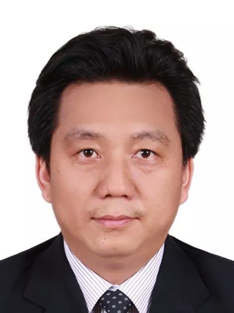 乐鱼网页版页面登录创新论坛第一千零五十二讲： 有机染料—功能化及稳定性强化