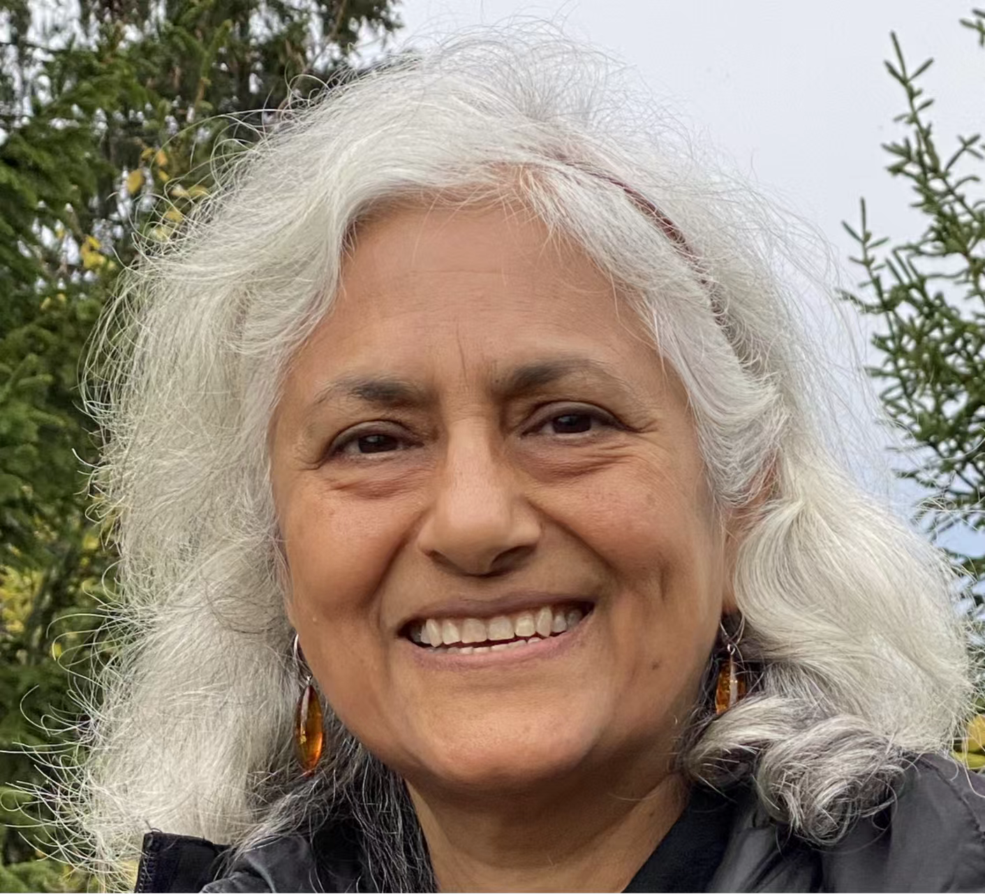 乐鱼网页版页面登录创新论坛第一千七百三十九讲：Fractionalized excitations in Quantum Spin Liquids and their Detection