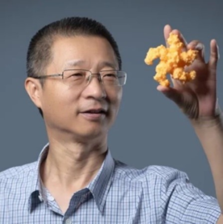 乐鱼网页版页面登录创新论坛第一千六百二十六讲：植物的免疫机制