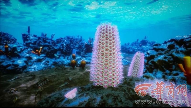 寒武纪仙女洞时期浅海古杯礁场景、原始蜂巢虫和大营蜂巢虫的复原图 寒武纪仙女洞时期浅海古杯礁场景、原始蜂巢虫和大营蜂巢虫的复原图